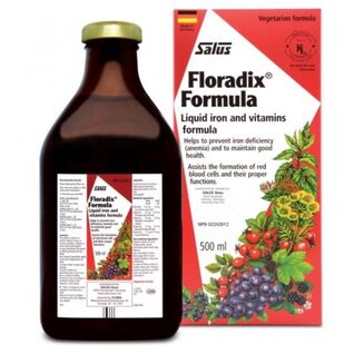 Floradix Liquid Iron Formula